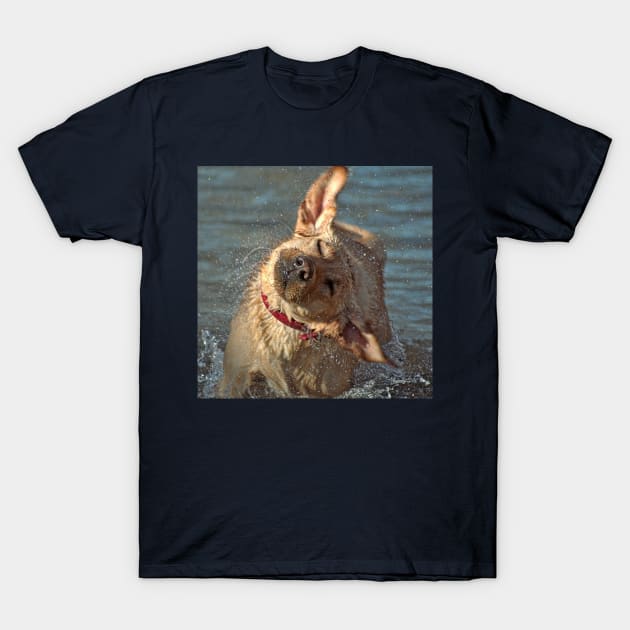 Bye-Bye Water T-Shirt by A Thousand Words Photography